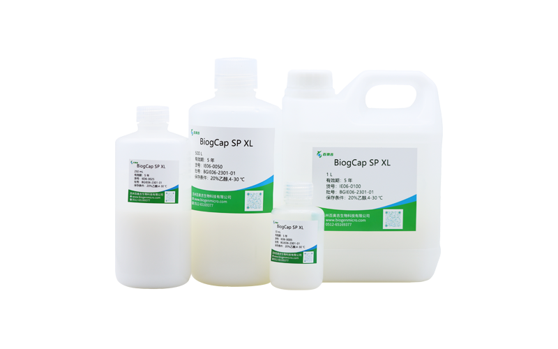 BiogCap SP XL/Q XL/DEAE XL
